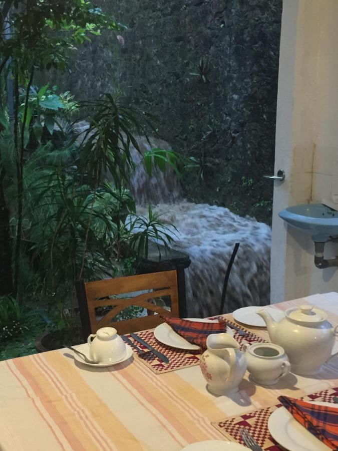 Kandy Ivy Banks Holiday Resort Экстерьер фото