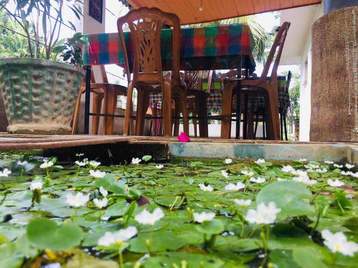 Kandy Ivy Banks Holiday Resort Экстерьер фото