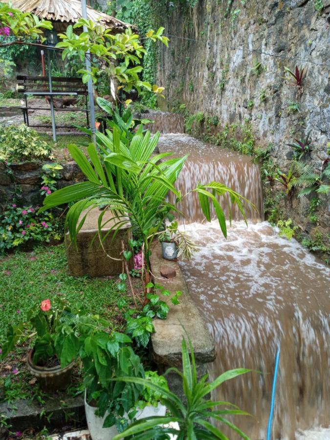 Kandy Ivy Banks Holiday Resort Экстерьер фото