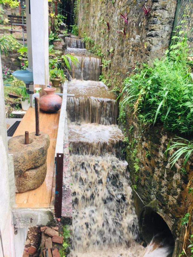 Kandy Ivy Banks Holiday Resort Экстерьер фото