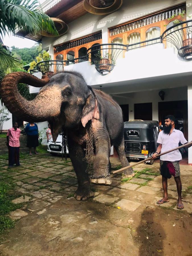 Kandy Ivy Banks Holiday Resort Экстерьер фото