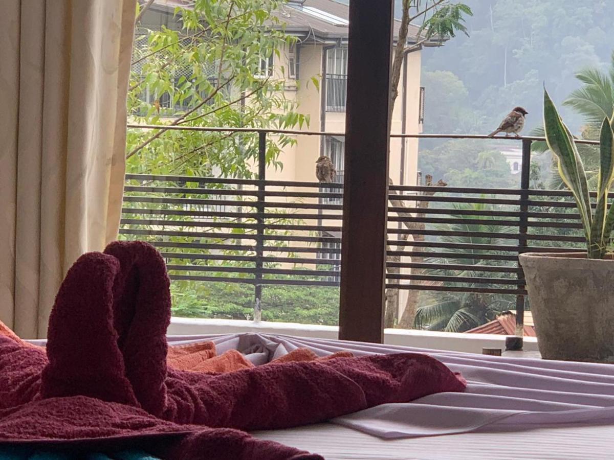 Kandy Ivy Banks Holiday Resort Экстерьер фото